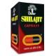 Shilajeet / Shilajit DABUR, 100 cap - Tibetan mumie