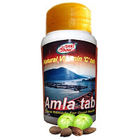 Amla / Amla Shri Ganga Pharmacy, 200 tablets - elixir of youth