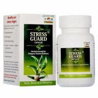 Стрес Гард (Гуард), 60 кап, Бадьянатх/Stress Guard, 60 caps, Baidyanath - захист від стресу