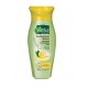 Shampoo Vatika against dandruff, 200 ml, Dabur / Vatika Naturals Dandruff Guard, Dabur
